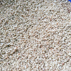 Short Leadtime Split Cashews SANTIGO Kaju Badam Broken Cashew <b>Nuts</b> <b>Kernels</b> - Product Image 2