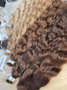 Extensions de Cheveux Naturels Vietnamiens Bruts 2026, 100% Haute Qualité, Lisses, Double Trame, Vente Chaude - Product Image 5