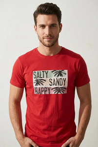 T-shirt SOSh 4 pour hommes, Salty Sandy Happy Tee Shirt - Product Image 3