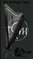 Large Size 36 Strings Lever Harp with Case & Tuning Key Elegant Vintage Style Floral Design Made Musical Instruments Harps