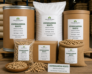 Complément alimentaire à base de racine d'ashwagandha pure biologique Terra Bio Naturals, conçu pour soulager le stress, favoriser l'équilibre énergétique, la santé immunitaire et le bien-être général. - Product Image 6