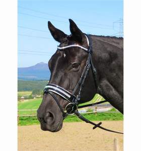 สายรัดข้อมือหนังรูปม้าวิบวับคริสตัลรูปตัวยู - Product Image 1