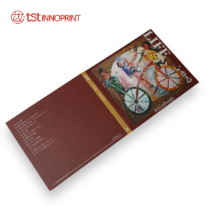 Tùy Chỉnh Âm Nhạc <span class=keywords><strong>CD</strong></span> Bao Bì Với Chuyên Nghiệp Đĩa In Ấn Và Bền Tông Tay Áo Cho Chất Lượng Cao Album Sản Xuất - Product Image 4