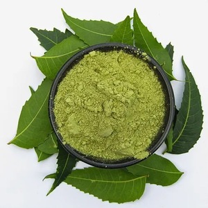 Poudre de feuilles de Neem naturelle, extrait végétal pur, qualité alimentaire, séchée par pulvérisation, soigneusement traitée, pour formules cosmétiques et soins personnels - Product Image 1