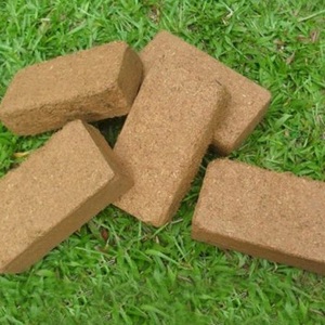 เกษตรกรรมพืชสวน ปุ๋ยอินทรีย์จากกะลามะพร้าว ทำจากเปลือกมะพร้าว - Product Image 1