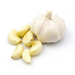 Ajos Blancos Frescos Cuidadosamente Seleccionados que Proporcionan un Aroma Intenso para Importadores Internacionales, Suministro con Embalaje Seguro - Product Image 3