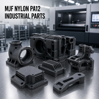 Servicio de Impresión 3D OEM Multi Jet Fusion (MJF) con Nylon PA12 para Piezas de Equipos Industriales de Alta Resistencia