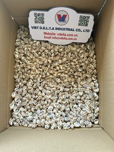 เปลือกหอยสีขาวธรรมชาติสำหรับตกแต่งบ้านสไตล์มินิมอล - Product Image 4