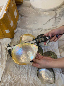 Plato de Lujo de Nácar Amarillo, Pulido por Ambas Caras, Concha Natural Artesanal de Vietnam, Plato Decorativo Premium para Exportación - Product Image 2