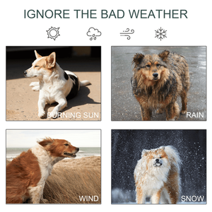 Cuccia Premium per Cani: Gabbia e Casetta Confortevoli per Animali Domestici - Product Image 6