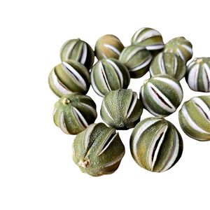 LIMÓN VERDE ENTERO SECADO (LIMA) DE VIETNAM A BUEN PRECIO, LUCKY LEMON, Sabor Cítrico, 1 kg, Empaque de Regalo, OFERTA - Product Image 5