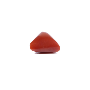Coral rouge naturel ovale cabochon 5,45 carats, pierre précieuse en vrac pour bijoux fins - Product Image 3
