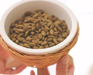 Comedero Elevado de Cerámica y Ratán Tejido a Mano para Mascotas, Tazón Antiderrames Ecológico para Perros y Gatos, Proveedor de Vietnam - Product Image 2