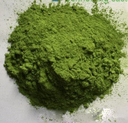 Poudre de feuilles de Pandan saveur verte naturelle de haute qualité prix bon marché approvisionnement en vrac en provenance du Vietnam - Product Image 3