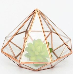 Home Perfect Geometric Glass Terrarium with Black / Gold Metal <b>Frame</b> for Air Succulent <b>Plant</b> - Product Image 5