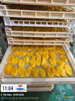 Tranches de mangue séchées, collation de fruits sucrés, emballage en vrac, fabricant vietnamien, solution de marque privée, distributeur mondial, Techmifood