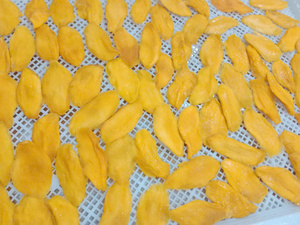 Mangues séchées de qualité supérieure, fruits séchés pour la pâtisserie, la cuisine et la décoration de desserts, doux et moelleux, en vrac, origine Vietnam - Product Image 2