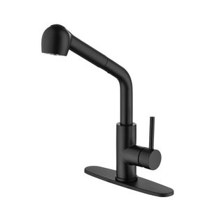 Rubinetto da Cucina Monocomando con Doccetta Estraibile in Acciaio Inox Nero Opaco - Product Image 1