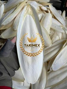 100% hueso de sepia seco Natural para pájaros y reptiles hueso de Sepia muy alto en calcio para mascotas Origen de Vietnam - Product Image 6