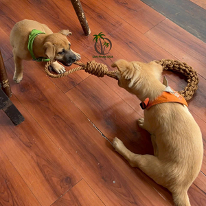 Jouet à mâcher pour animaux de compagnie en fibre de coco naturelle, fait main, écologique, sans produits chimiques, en provenance du Vietnam, au meilleur prix de gros - Product Image 1