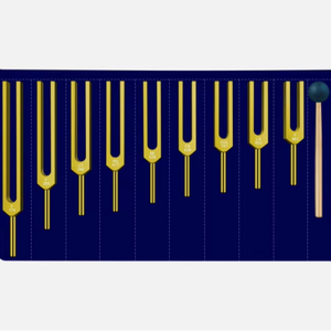 Juego de Diapasones TENFLY Solfeggio - 9 Diapasones Perfectos para Sanación con ADN - Product Image 1