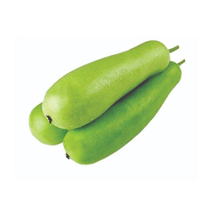 Courge en bouteille saine, légume frais, récolte verte, ingrédient culinaire, produit agricole de qualité, vente en gros, approvisionnement en vrac, exportation fraîche - Product Image 2