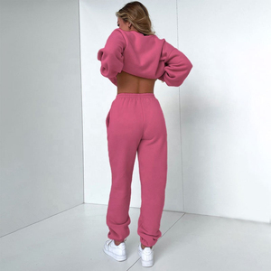 Sweat-shirt à capuche rose surdimensionné, couleur unie, coupe décontractée, manches régulières, en molleton français, unisexe, pour l'automne, 100% coton, ODM - Product Image 3