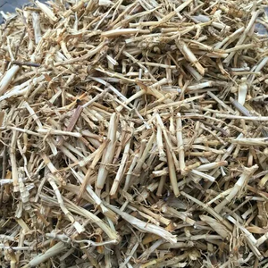 Raíz de Cogon Seca Natural para Té de Hierbas y Decocciones - Product Image 1