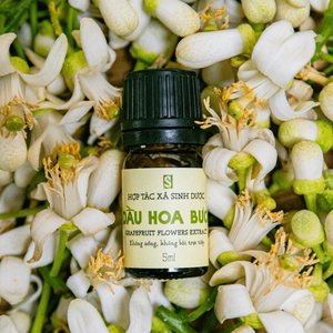 Premium <b>Sweet</b> Fresh Floral Grapefruit <b>Flower</b> Essential Oil Aromatherapy Extract 100% Pure Botanical Oil 5ml Steam Distilled - Product Image 1
