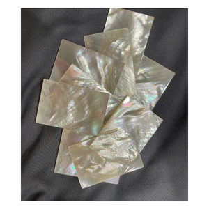 Láminas de Concha de Perla Natural con Incrustaciones, Paneles Artesanales con Brillo Irregular para Joyería, Decoración de Guitarras - Product Image 6