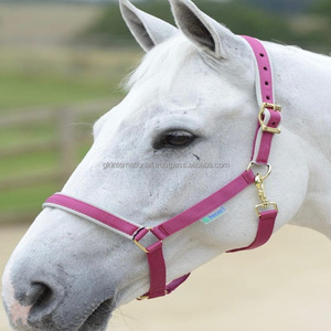 Sangle équestre PP de haute qualité licou rembourrage en polaire douce selle occidentale collier de tête réglable fournisseur de qualité - Product Image 4