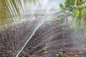 Tuyau d'irrigation agricole plat en plastique 32 mm résistant aux UV, rouleau de 100 mètres pour champs agricoles - Product Image 6