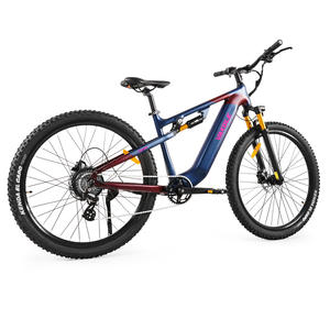 Bicicleta Eléctrica Urbana de Aventura Molicycle R1 250W 36V 15.6Ah 20x3.0 Neumático Grueso Cuadro Resistente Largo Alcance Almacén UE - Product Image 2