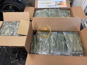 Wholesale Organic Soursop Leaves Annona Muricata Herbal <b>Tea</b> Cut Dried Leaves Graviola OEM Packing <b>Made</b> In Vietnam - Product Image 6