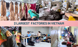 Extensiones de Cabello Humano Remy Vietnamita Virgen Sedoso de Calidad Premium HD para Peluca, Cabello Liso Extremo, Alpha Hair A6 Personalizado - Product Image 6