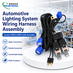 Conjunto de Cableado Eléctrico Automotriz Personalizado para Sistema de Iluminación de Lámparas - Product Image 1