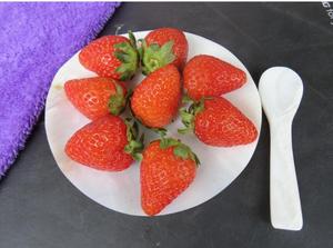 Handcrafted Natural Buffalo Horn Spoons Set Eco-Friendly Rustic High Polished Small Serving & Dessert Spoon - Product Image 2