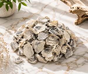 Coquilles d'huîtres brutes premium U Oysters, sac de 1000g, Thaïlande, forme irrégulière, motif paysager, design côtier, utilisation extérieure - Product Image 6