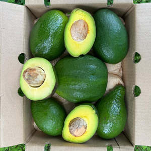 Aguacates Frescos Premium Variedad Fuerte, Tropicales y Subtropicales, 100% Naturales, Cremosos, Origen Austria, 10 kg/caja, Precio al por Mayor - Product Image 5