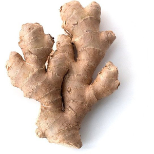 Gingembre frais séché de haute qualité en gros - Product Image 4