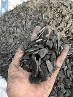 {HOT - DEAL} -COQUILLE DE NOIX DE COCO CHARBON DE BOIS/NOIX DE COCO/BRIQUETTE UTILISATION POUR SHISHA, narguilé, INDUSTRIE
