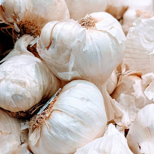 Ail blanc frais naturel pur, livré avec une sélection de bulbes de qualité supérieure et selon les normes d'emballage export pour la demande des acheteurs importateurs - Product Image 6