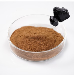 Premium Quality Shilajit Extract Powder Natural Himalayan Shilajit Extract Powder Supports Vitality and Mineral Nourishment - Product Image 1