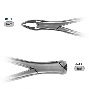 Pinzas de Extracción Dental Manuales de Acero Inoxidable de Alta Calidad Accuram Instruments con Empuñadura Moleteada - Product Image 3