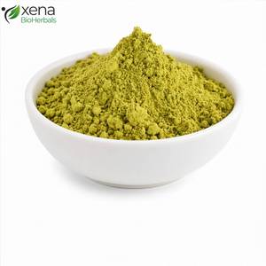Fabricante Certificado de Extractos Herbales, Extracto de Hoja de Gymnema Sylvestre en Polvo, Ingrediente Botánico Premium para el Bienestar Metabólico - Product Image 1