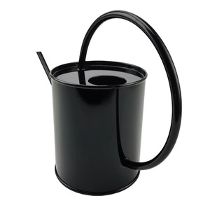 Arrosoir en métal noir avec long bec pour le jardinage, finition peinte durable - Product Image 3