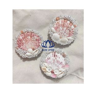 HIGH QUALITY Natural Seashell Handicrafts | Heavy Duty Eco Friendly Shell Craft Collection - Product Image 1