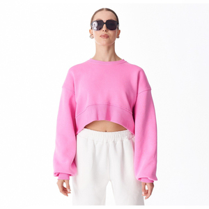 women short <b>sweatshirt</b> simple street style top <b>ladies</b> cropped <b>sweatshirt</b> cozy winter casual wear women cropped <b>sweatshirt</b> - Product Image 1