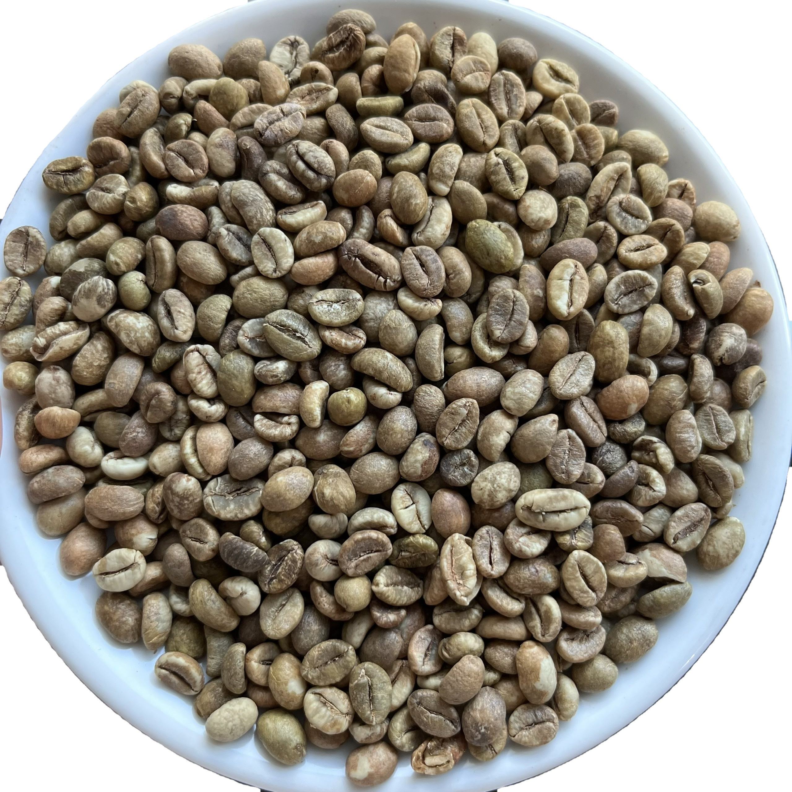 100% 越南罗布斯塔绿色咖啡屏幕16清洁过程& 准备烤| Alibaba.com