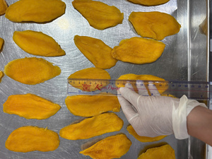 Tranches de mangue séchées moelleuses certifiées Halal, collations végétaliennes saines, fruits tropicaux déshydratés naturels, pack en vrac du Vietnam - Product Image 6